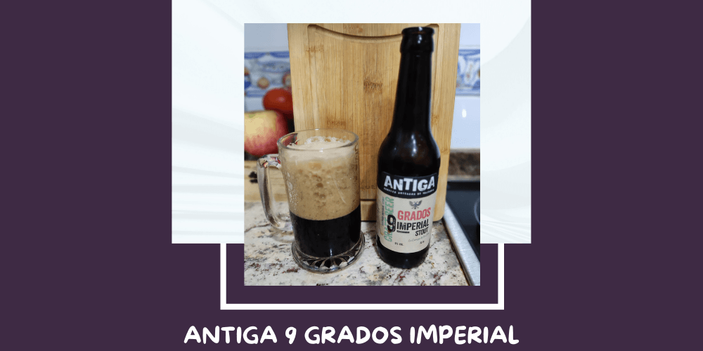Cerveza 9 Grados Imperial Stout de Cervezas Antiga