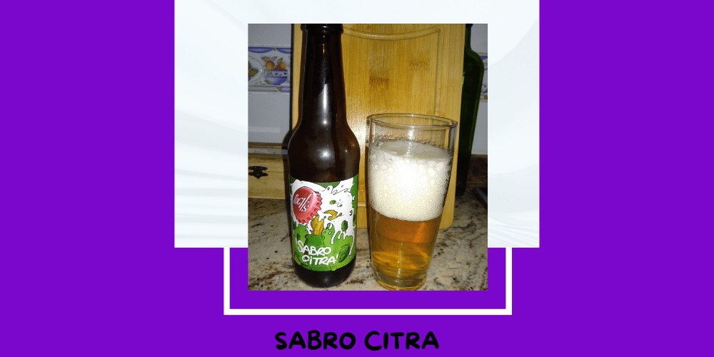 Cerveza Sabro Citra de Poch's Cervesa Artesana