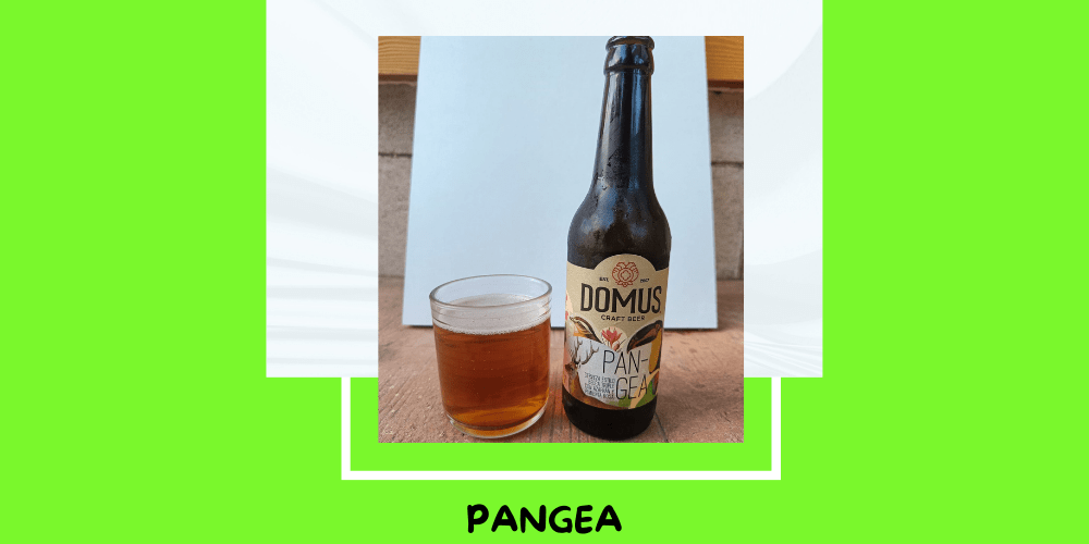 Cerveza PANGEA De Cervezas Domus