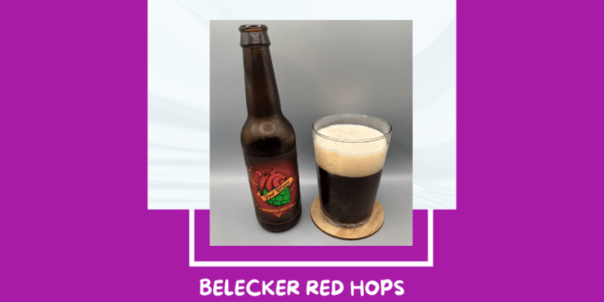 Cerveza Red Hops de Cerveza Belecker