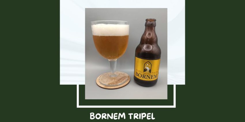 Cerveza Bornem Tripel de Brouwerij Van Steenberge