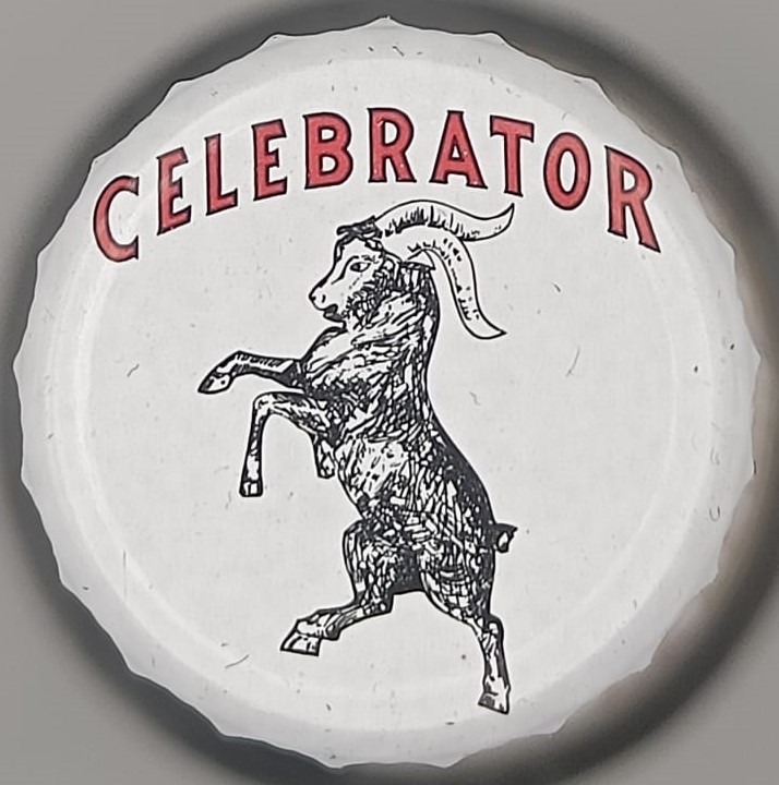 Cerveza Ayinger Celebrator