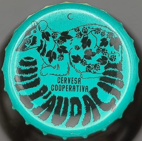 Imagen de la chapa de la cerveza BOIRA