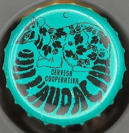 Imagen de la chapa de la cerveza DEL TERRENO