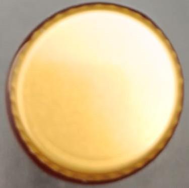 Imagen de la chapa de la kombucha Remolacha y Mango