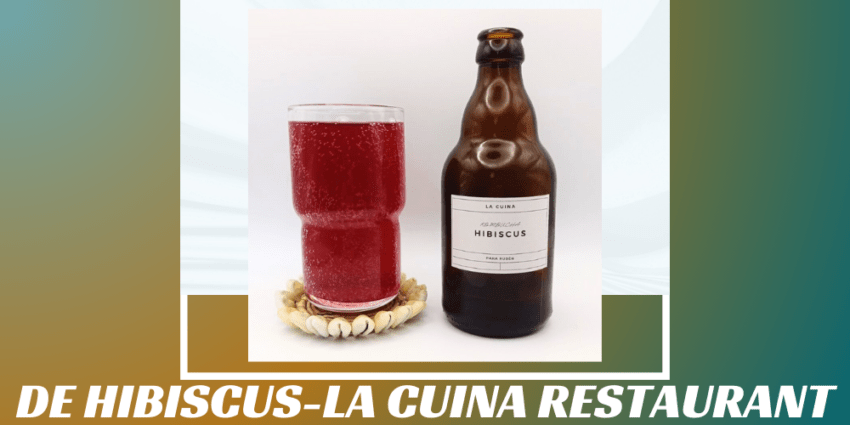 Imagen de la portada de la kombucha de Hibiscus que muestra el producto y el nombre