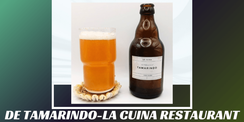 Imagen de la portada de la kombucha de Tamarindo que muestra el producto y el nombre