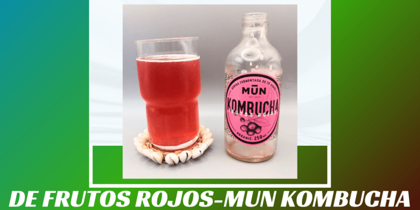 Imagen de la portada de la kombucha de Frutos Rojos que muestra el producto y el nombre