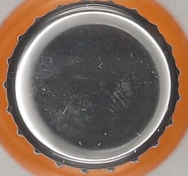 Imagen de la chapa del Hidromiel