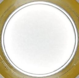 Imagen de la chapa de la kombucha Green Power