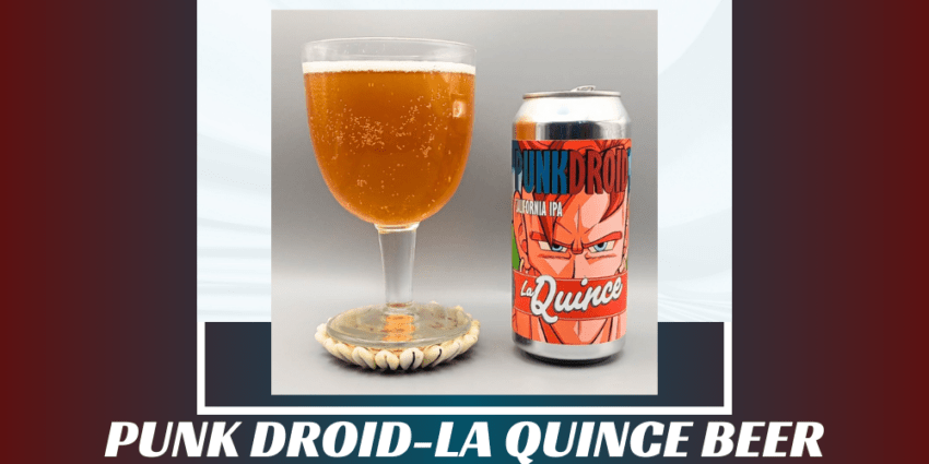 Imagen de la portada de la cerveza Punk Droid que muestra el producto y el nombre