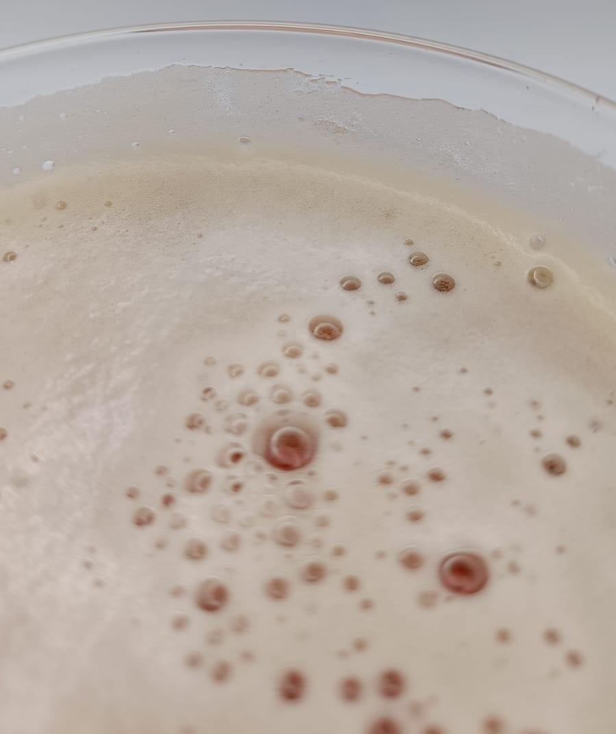 Espuma de la cerveza La Pícara Justina de Brew Indie