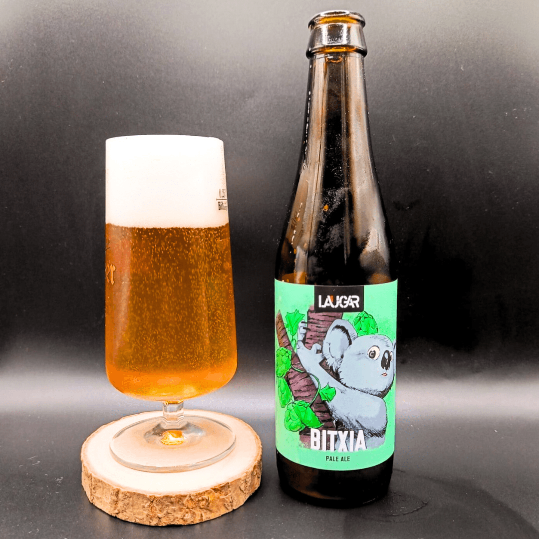 Imagen de la cerveza Bitxia que muestra el producto servido